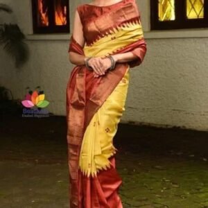 Pure zari border tussar hand block print saree